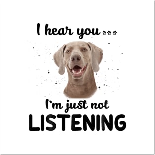 Weimaraner I hear you ... I am just not listening Posters and Art